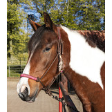 Seilhalfter Feder mit Feder