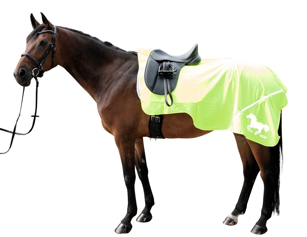 Reflection blanket without lining