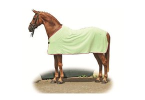 Schweißdecke minzgrun 165