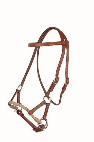 Sidepull bitless bridle