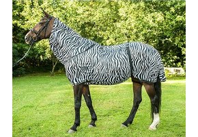 Eczema blanket Zebra