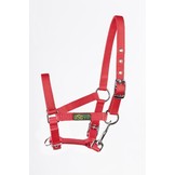 Foal halter dark green