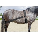 CoraLe Trainingssystem elastisch