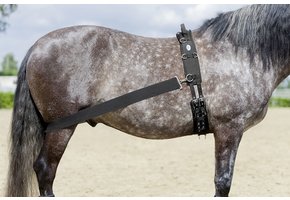 CoraLe trainingsysteem