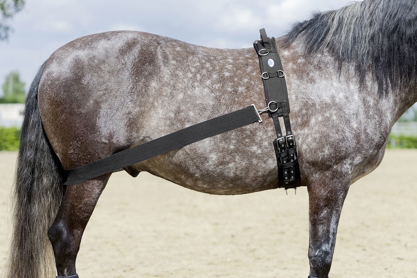 CoraLe trainingsysteem elastisch