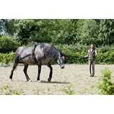 CoraLe Trainingssystem elastisch