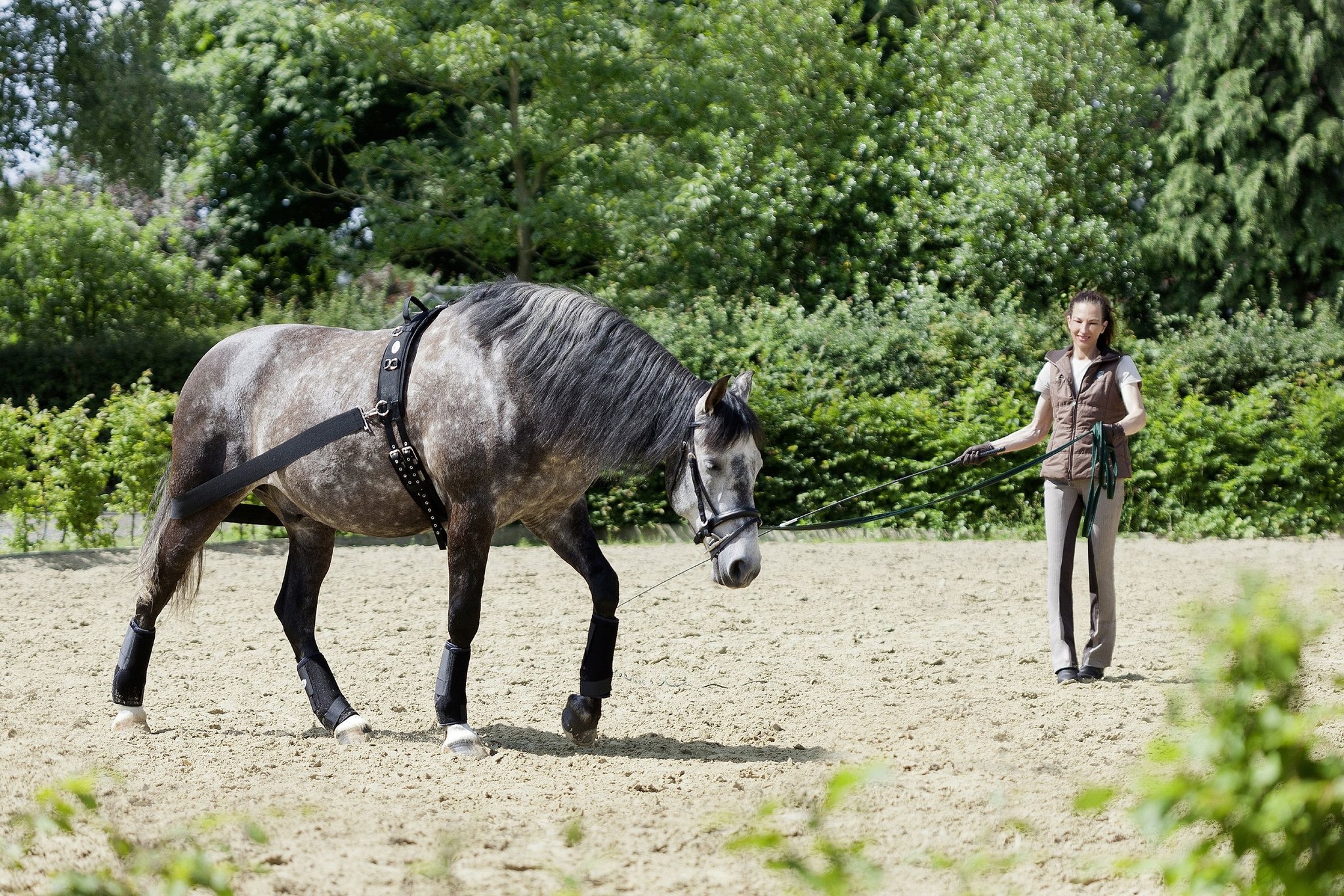 CoraLe Trainingssystem elastisch