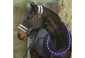 Led neck ring
