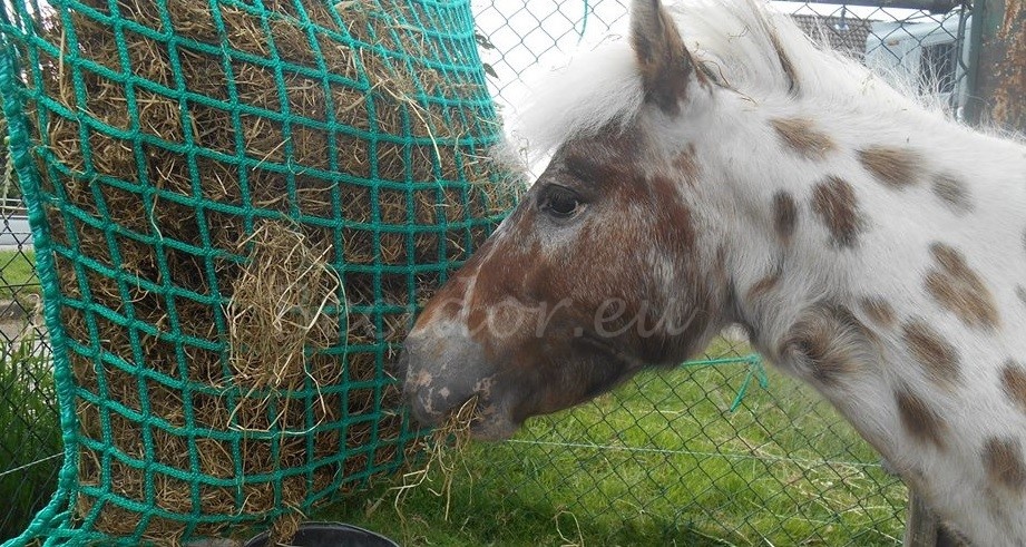 Hay net rectangular mesh 45mm