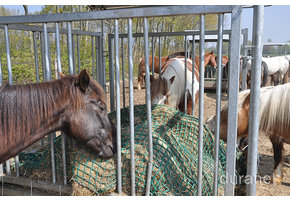 Ruifafdeknet mazen 60mm