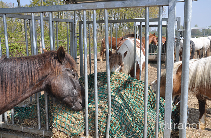 Screen cover net mesh 60mm slow feeder