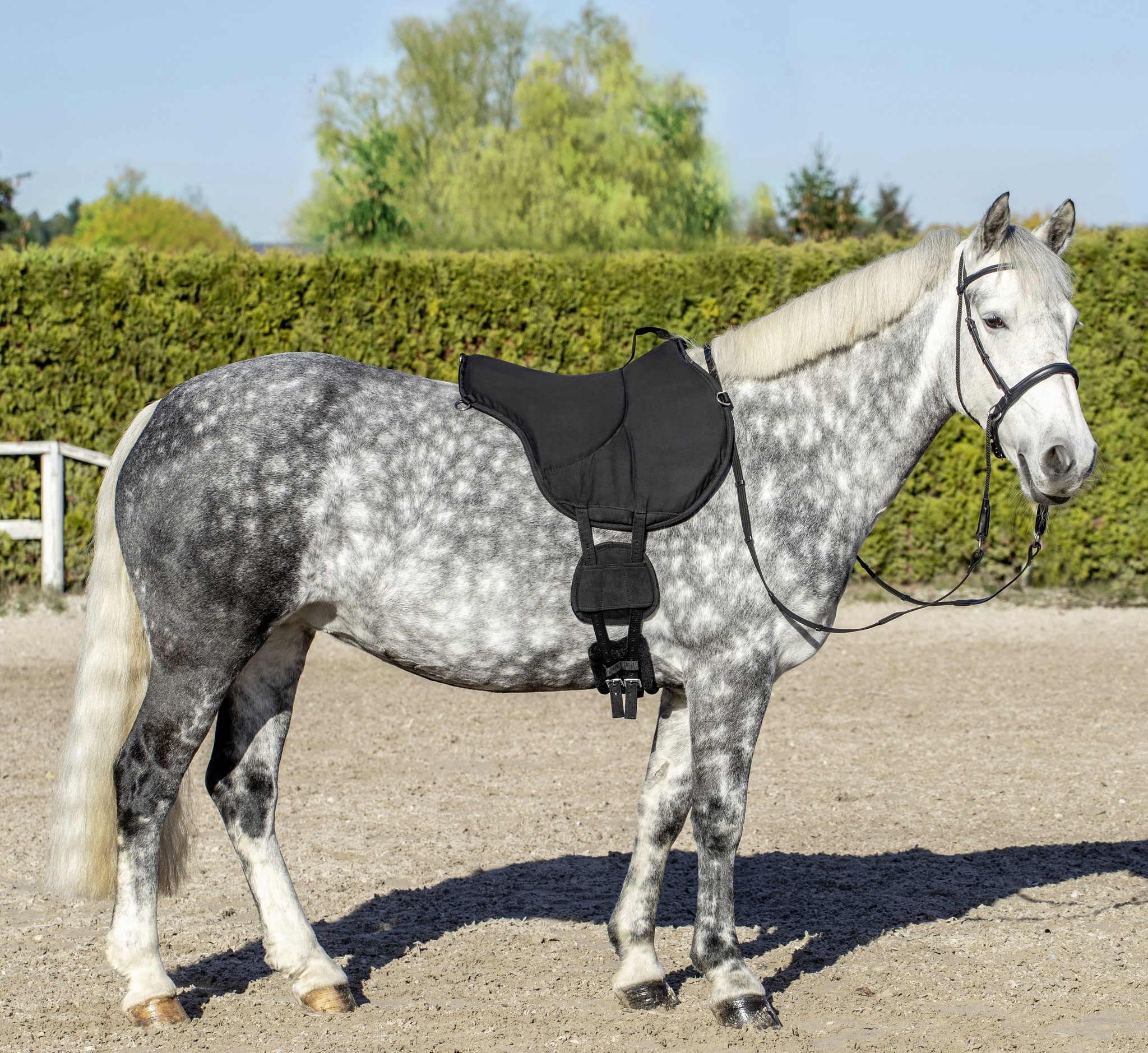 Bareback Pad schwarz anatomisch