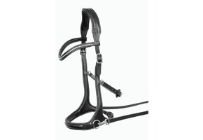 Bitless sidepull bridle Trust