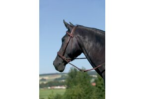 Connection jaw-crossed bitless bridle