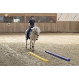 Flexible soft bars for training from the horse