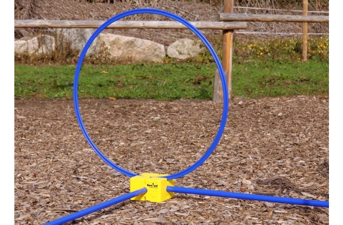 Ring voor paarden