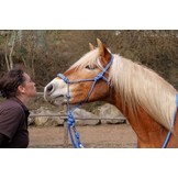 Be Gentle Riding Rope Halter soft