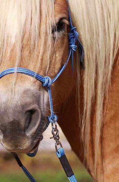 Be Gentle Riding Rope Halfter weich