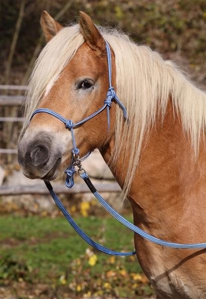 Be Gentle Riding Rope Halfter weich