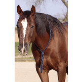 Amber neck ring