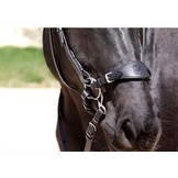 Nasenriemen Hackamore