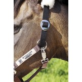 Safety Halter elastic