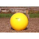 Pferdeball für Pferde