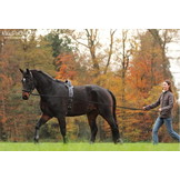 Long Groundwork Reins super grip