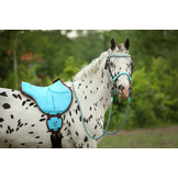 Amber reins - limited edition clips