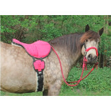 Amber teugels - limited edition clips