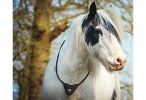 Kommunikationshalsring