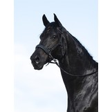 Shape It Soft sidepull neusriem leer