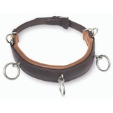 Cavesson Kaptoom Nasenband Leder