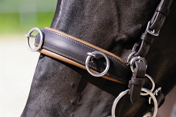 Cavesson Kaptoom noseband leather