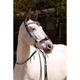 Oaklet Zaumzeug western