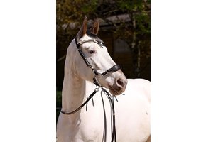 Oaklet bridle