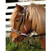 Walnut pony crossover bitless bridle Bellis and Lily