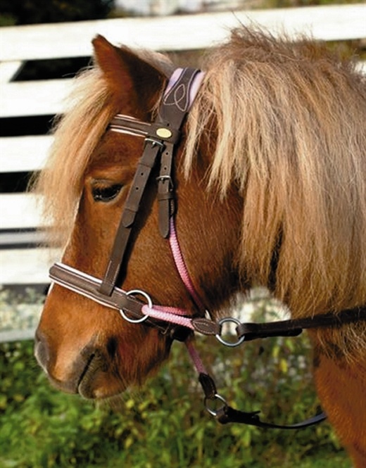 Walnuss Pony Crossover bitless Zaumzeug Bellis und Lily