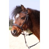 Walnut pony kaakgekruist bitlooshoofdstel Bellis en Lily