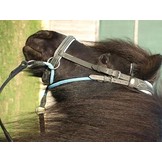 Walnut pony kaakgekruist bitlooshoofdstel Bellis en Lily