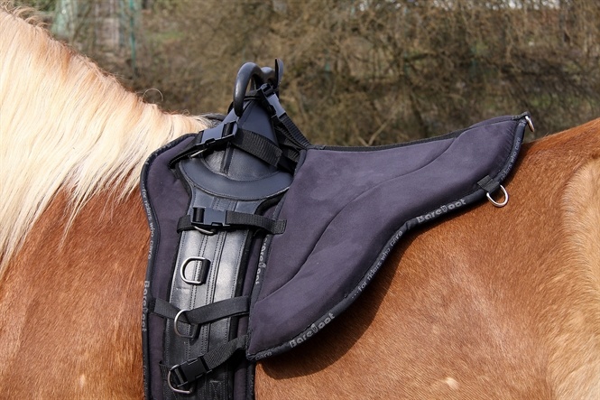 Zitting voor longeersingel zwart