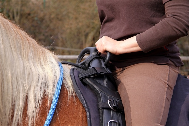 Sitz für Lunge Gurt schwarz
