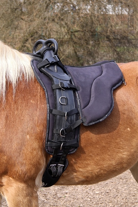 Sitz für Lunge Gurt schwarz