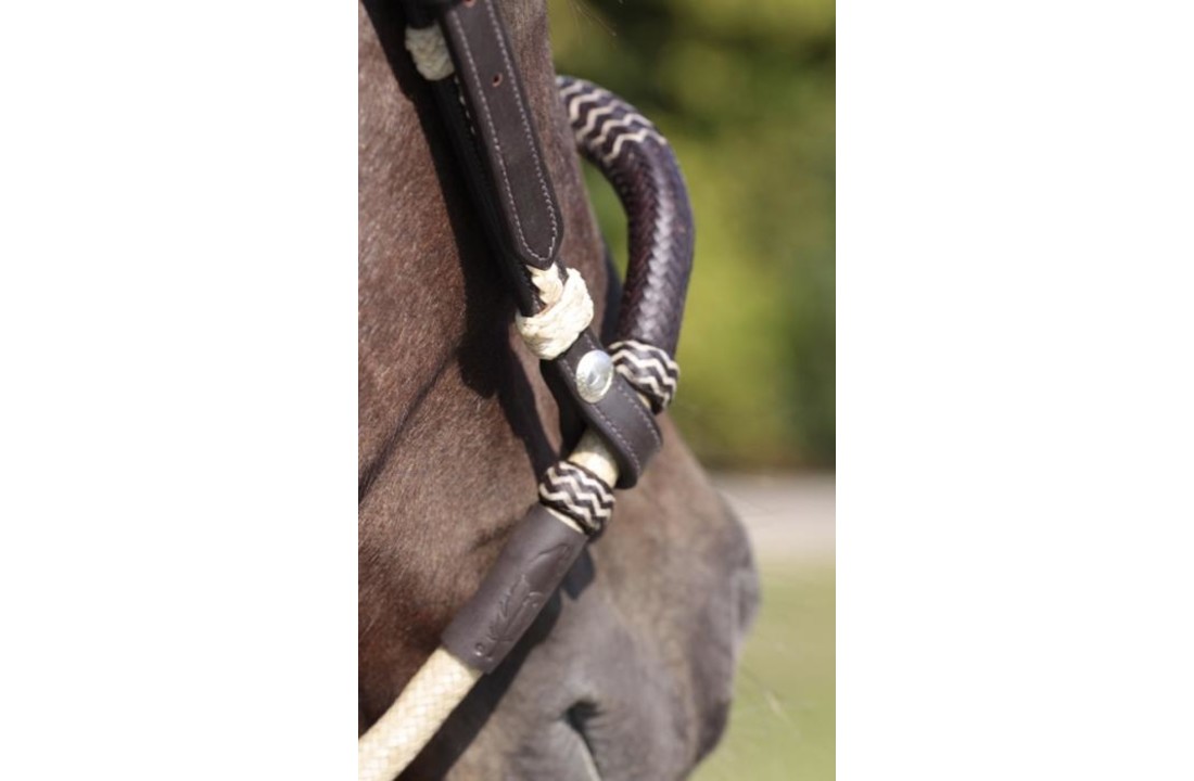 Bosal bruin