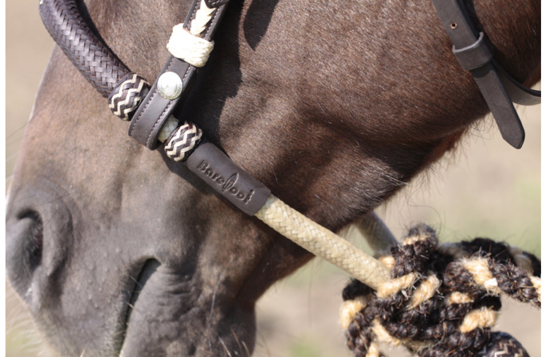Bosal bruin