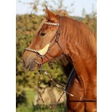 Seneca Reithalfter 3 in 1 seil