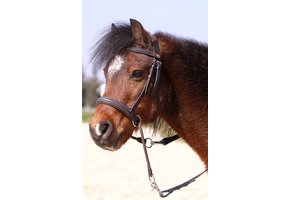 Pony-Crossover-Zaumzeug aus Walnussleder