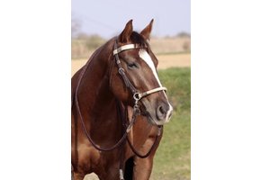 Acorn sidepull bitless bridle