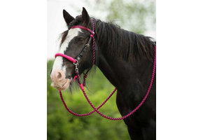 Amber Sidepull - limitierte Auflage