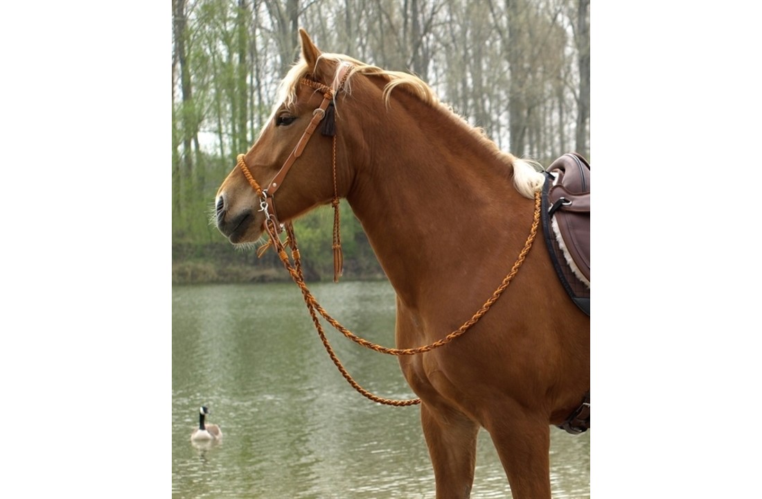 Amber sidepull bitlooshoofdstel leer